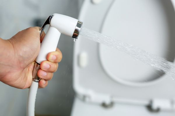 Bidet Installation in Bella Vista