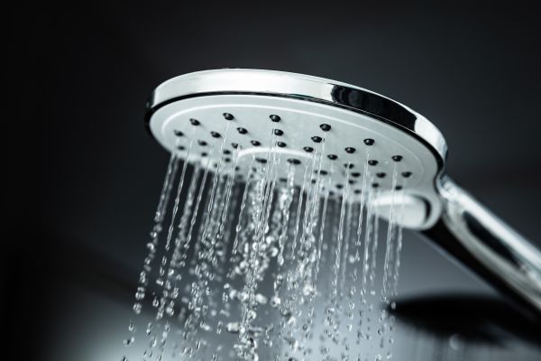 Cost of Shower Head Replacement in Bella Vista