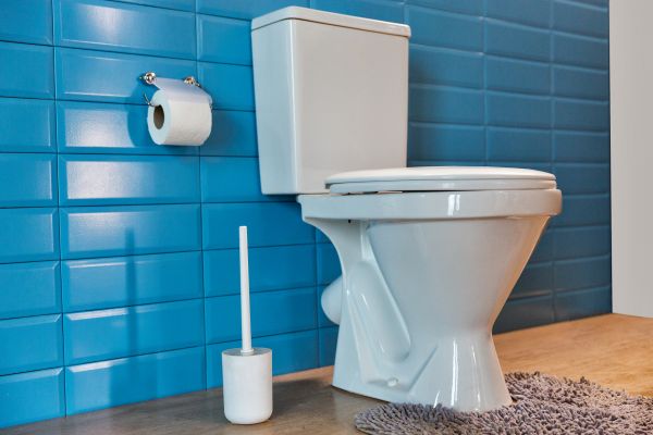 Cost of Toilet Tank Repair in Bella Vista