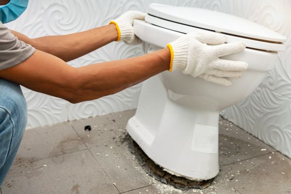 Cost of Toilet Removal in Bella Vista