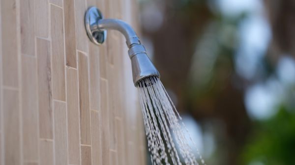Cost of Showerhead Repair in Bella Vista